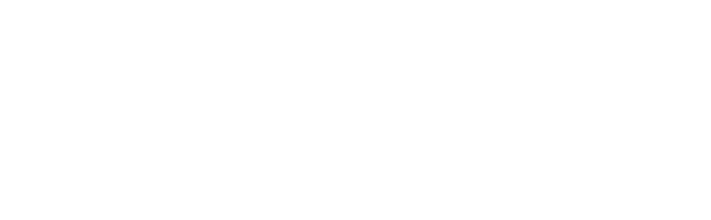 Logo SFR in weiss/grau