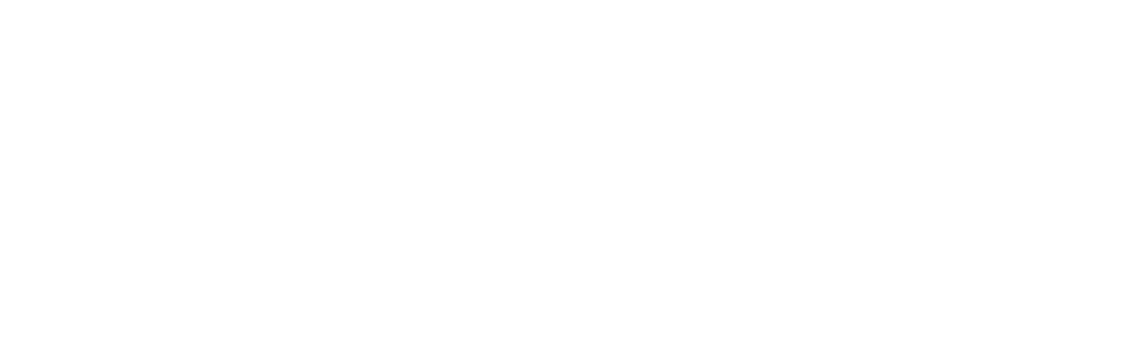 Logo Nau in weiss/grau